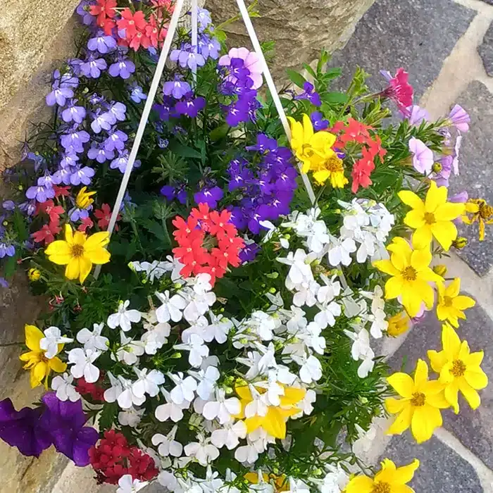 basket-floricoltura-buriani