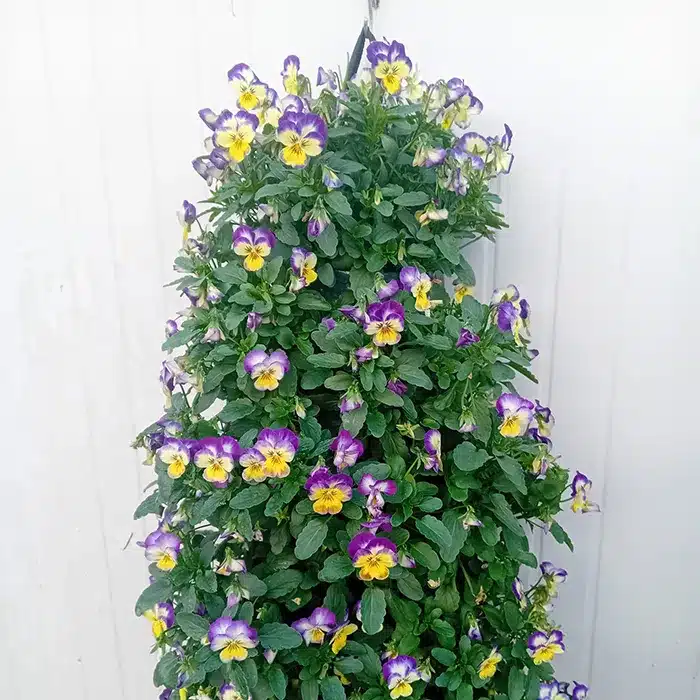 sacche-pensili-buriani