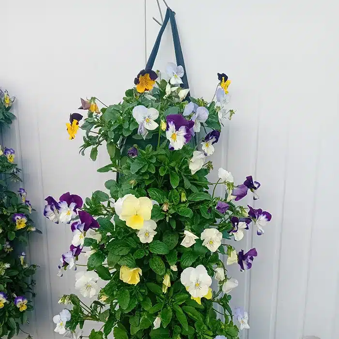 sacche-pensili-buriani